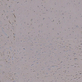 Пробковый пол Corkart Narrow Plank HDF CU3 186w TZ X