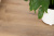 WPC VINILAM CORK 7 мм 10130V Дуб Антверпен WPC VINILAM CORK 7 мм 10130V Дуб Антверпен