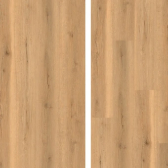 SPC Ламинат Evofloor Home (Rus) Oak Beige