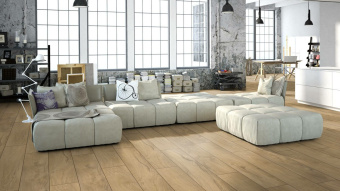 Ламинат Kronotex MAMMUT PLUS  D4672 Дуб Магнум светлый