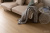 WPC VINILAM CORK 7 мм 10110V Дуб Рошфор WPC VINILAM CORK 7 мм 10110V Дуб Рошфор