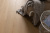 WPC VINILAM CORK 7 мм 10110V Дуб Рошфор WPC VINILAM CORK 7 мм 10110V Дуб Рошфор