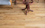WPC VINILAM CORK PREMIUM 33100 Дуб Мадрид WPC VINILAM CORK PREMIUM 33100 Дуб Мадрид