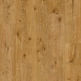 Ламинат Clix Floor Basis CXB 600 Дуб Грас