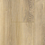 SPC Ламинат Alpine Floor Premium 12 WPC Дуб Дюна ECO 24-6