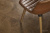 WPC CERAMO VINILAM STONE 8 мм Дуб Натуральный 61601